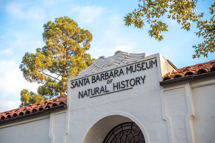 Discover the Fascinating World of Natural History Museums in the US