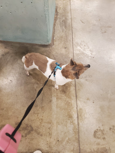 Pet Supply Store «PetSmart», reviews and photos, 1040 Cross Creek Dr, Saltillo, MS 38866, USA