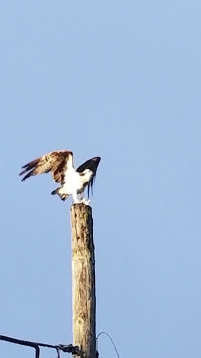 Locksmith «Florida Lock and Key», reviews and photos, 4715 33rd St W, Bradenton, FL 34207, USA