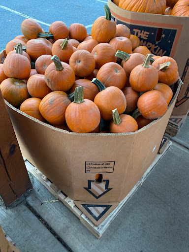 Produce Market «E Draghi & Son Farm Stand», reviews and photos, 86 Main St, South Glastonbury, CT 06073, USA