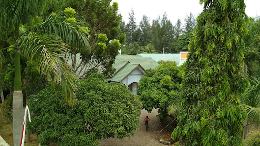 Semua - SMA Insan Madani