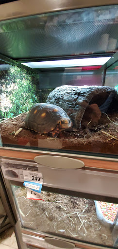 Clothing Store «Ross Dress for Less», reviews and photos, 3050 E Lohman Ave, Las Cruces, NM 88011, USA