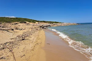 Spiaggia naturista di Marianelli image