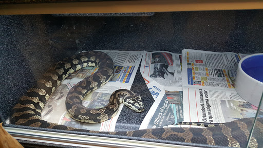 Pet Supply Store «Pet Bazaar», reviews and photos, 490 FL-436, Casselberry, FL 32707, USA