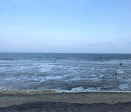 Bãi biển Đồi Dương