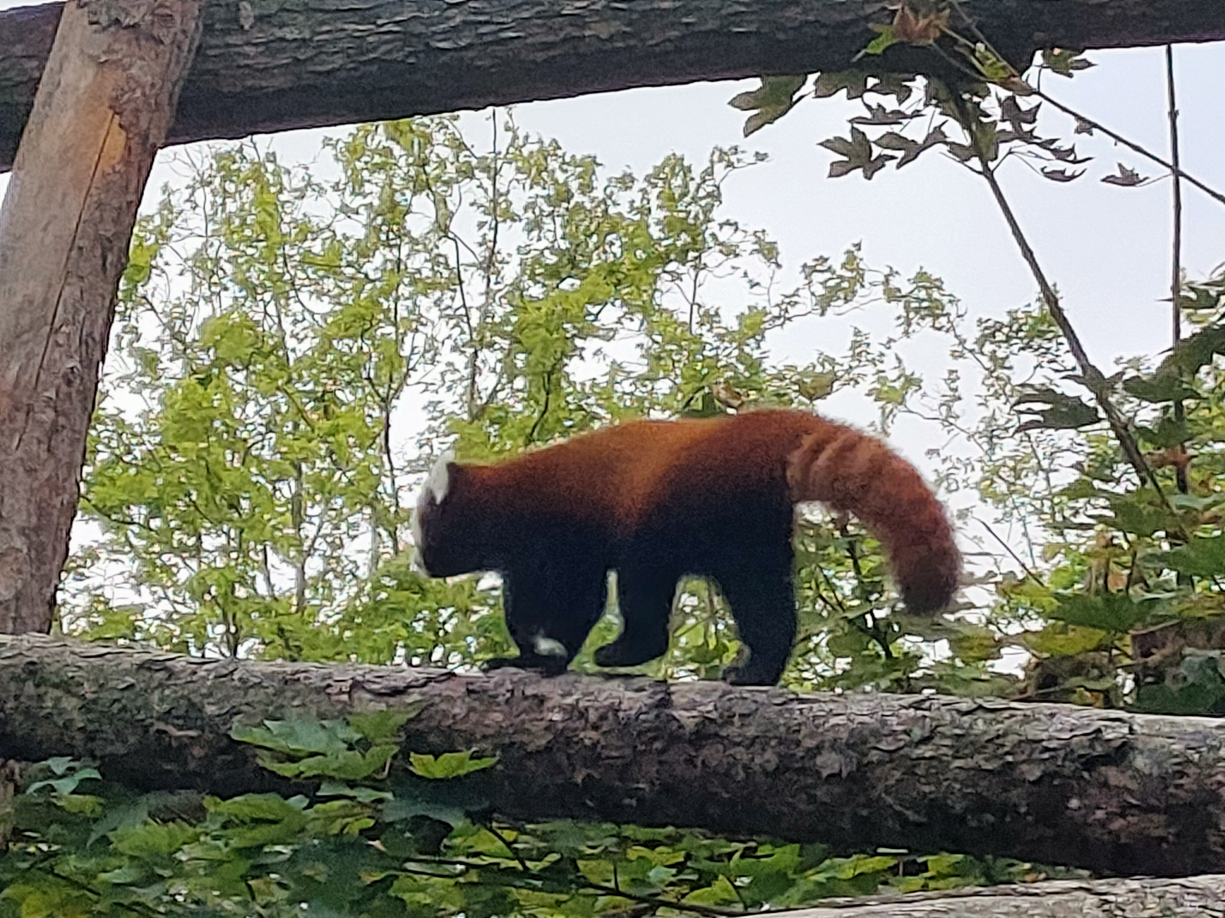 Photo n° 4 de l'avis de sensuella80. fait le 25/08/2022 à 14:17