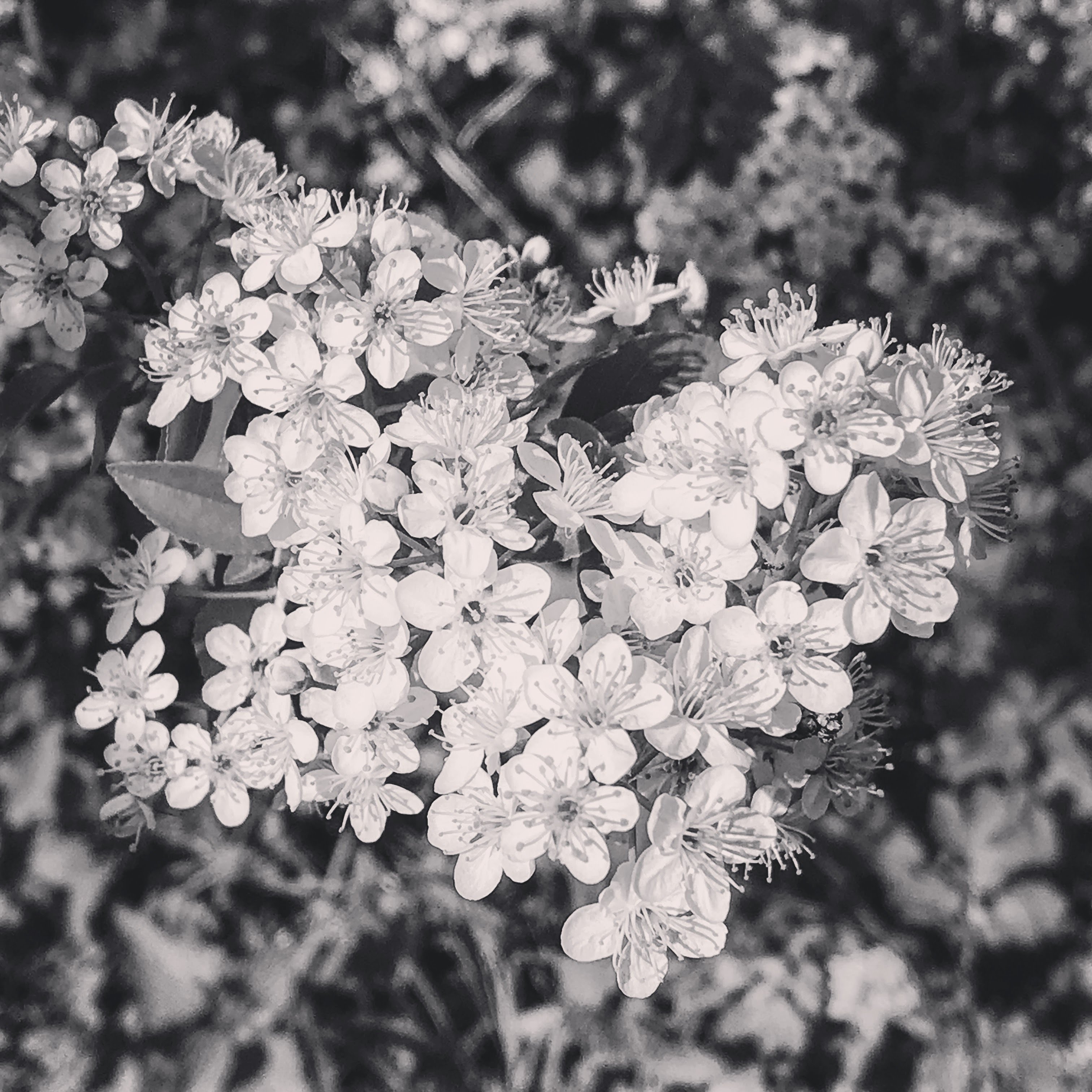 Photo n° 4 de l'avis de Franck.a fait le 02/05/2018 à 05:52