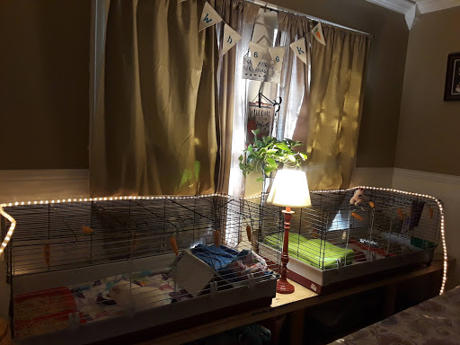 Home Improvement Store «Tractor Supply Co.», reviews and photos, 13641 TX-110, Tyler, TX 75707, USA