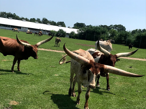 Zoo «Dutch Creek Farm Animal Park», reviews and photos, 6255 N 1000 W, Shipshewana, IN 46565, USA