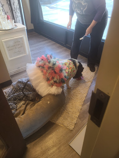 Movie Theater «Capitol II Theatre», reviews and photos, 116 1st St N, Newton, IA 50208, USA