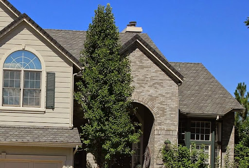 Foothills Roof Services in Littleton, Colorado