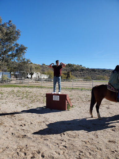 Horse rental service Tucson