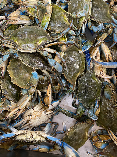 Grocery Store «New Grand Mart», reviews and photos, 6326 Arlington Blvd, Falls Church, VA 22042, USA