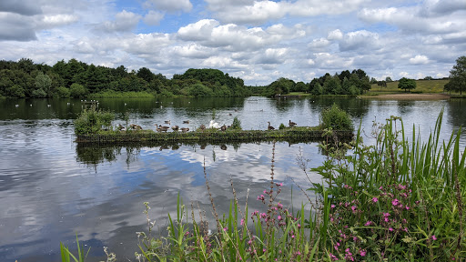 Seven Lochs Wetland Park