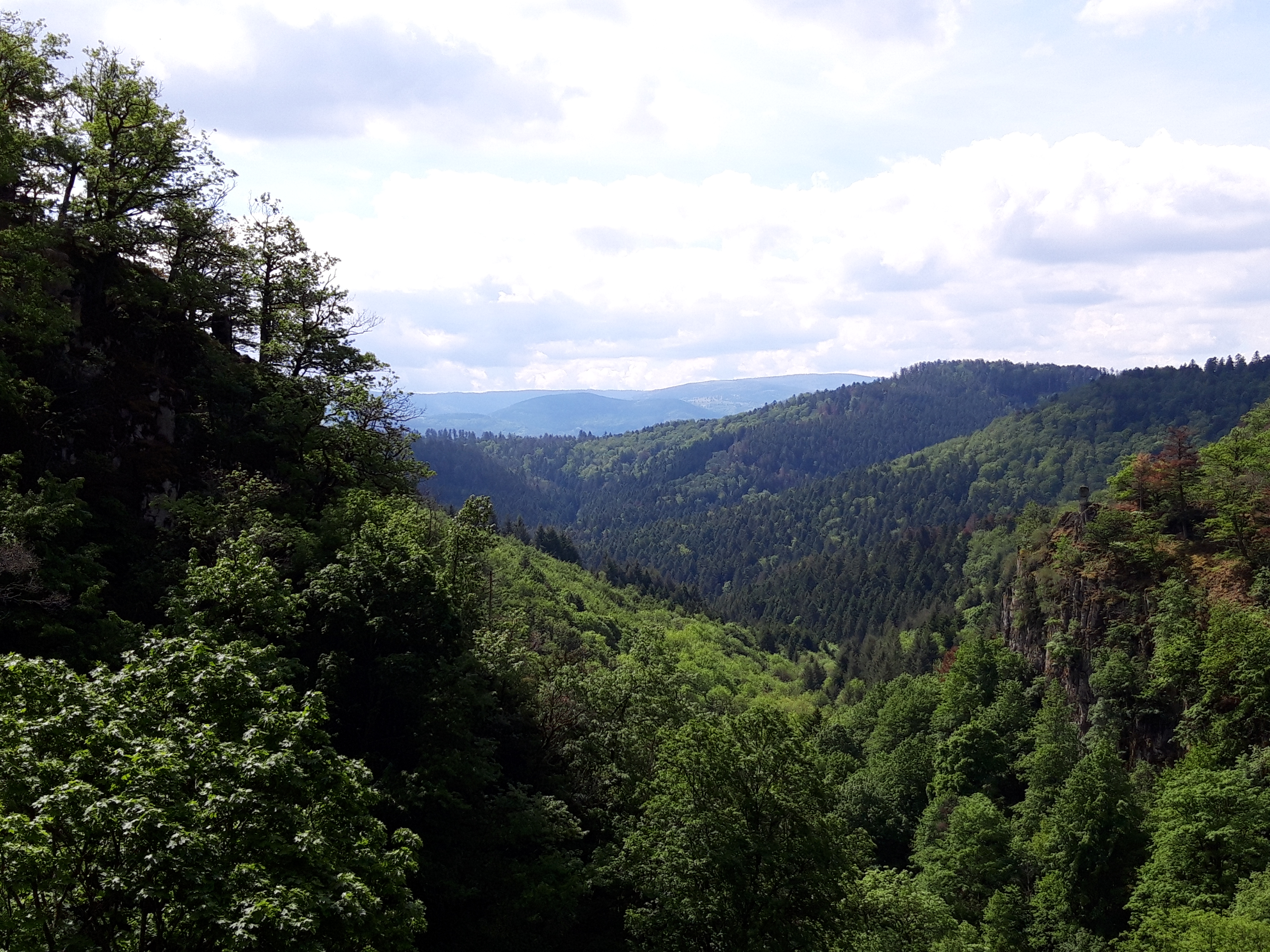 Photo n° 3 de l'avis de Michel.r fait le 09/06/2019 à 07:08