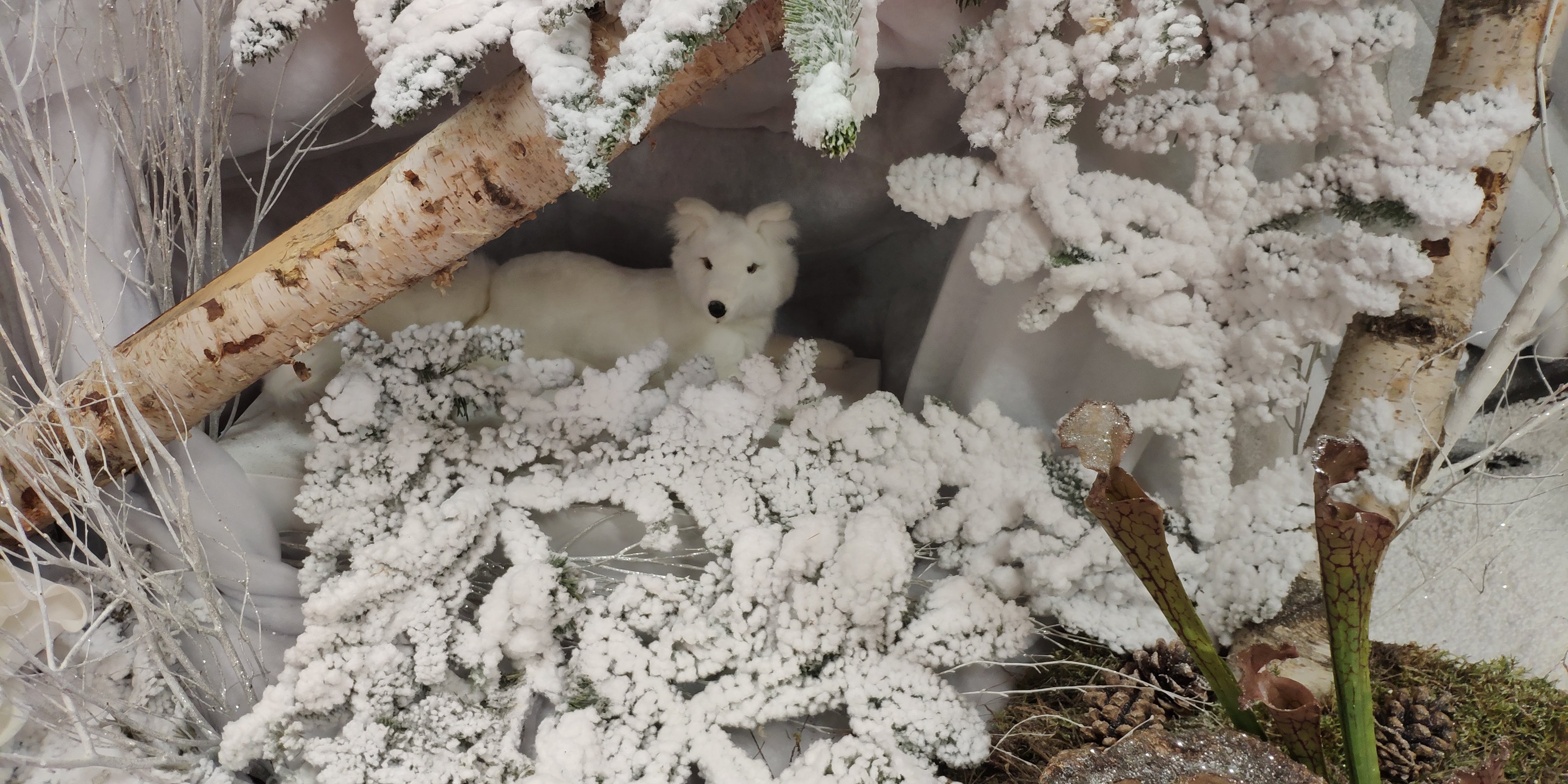 Photo n° 1 de l'avis de Siegfried.U fait le 19/01/2019 à 20:35
