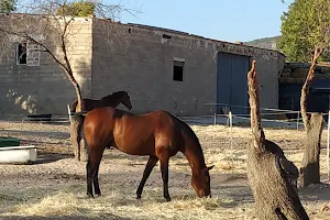 Mirador Vega del Río Escabas. image