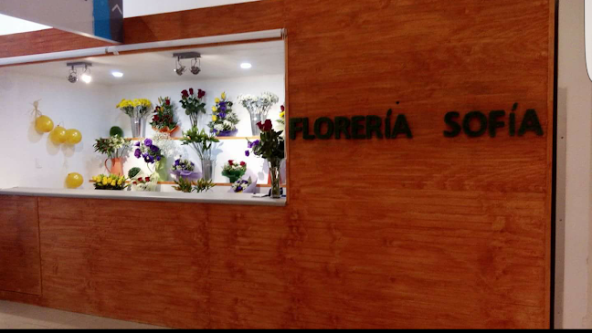 Opiniones de Florería Sofía en Viña del Mar - Floristería