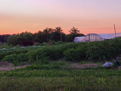 Event Venue «Barn at Gibbet Hill Groton», reviews and photos, 61 Lowell Rd, Groton, MA 01450, USA