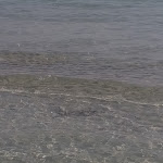 Photo n°4 de l'avis de Cloudy. fait le 17/09/2021 à 17:17 sur le  Kukua Beach à Fontane Bianche