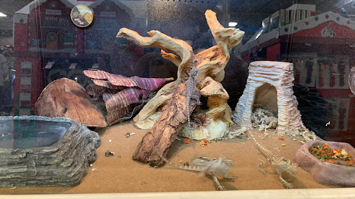 Pet Supply Store «PetSmart», reviews and photos, 2101 Elmwood Ave, Buffalo, NY 14207, USA