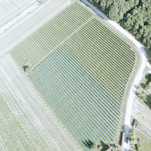 Értékelések erről a helyről: Cimpó hegy - málnaültetvény, Zalaegerszeg - Élelmiszerüzlet