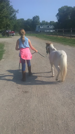 Horse Boarding Stable «Crown Haven Center», reviews and photos, 5282 County Rd W 250 S, Russiaville, IN 46979, USA