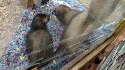 Pet Supply Store «Pet Supermarket», reviews and photos, 501 Cypress Gardens Blvd, Winter Haven, FL 33880, USA