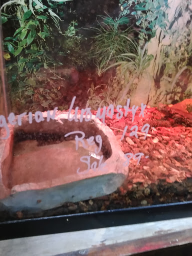 Pet Store «Wet Pets», reviews and photos, 1712 Montgomery Hwy, Dothan, AL 36303, USA