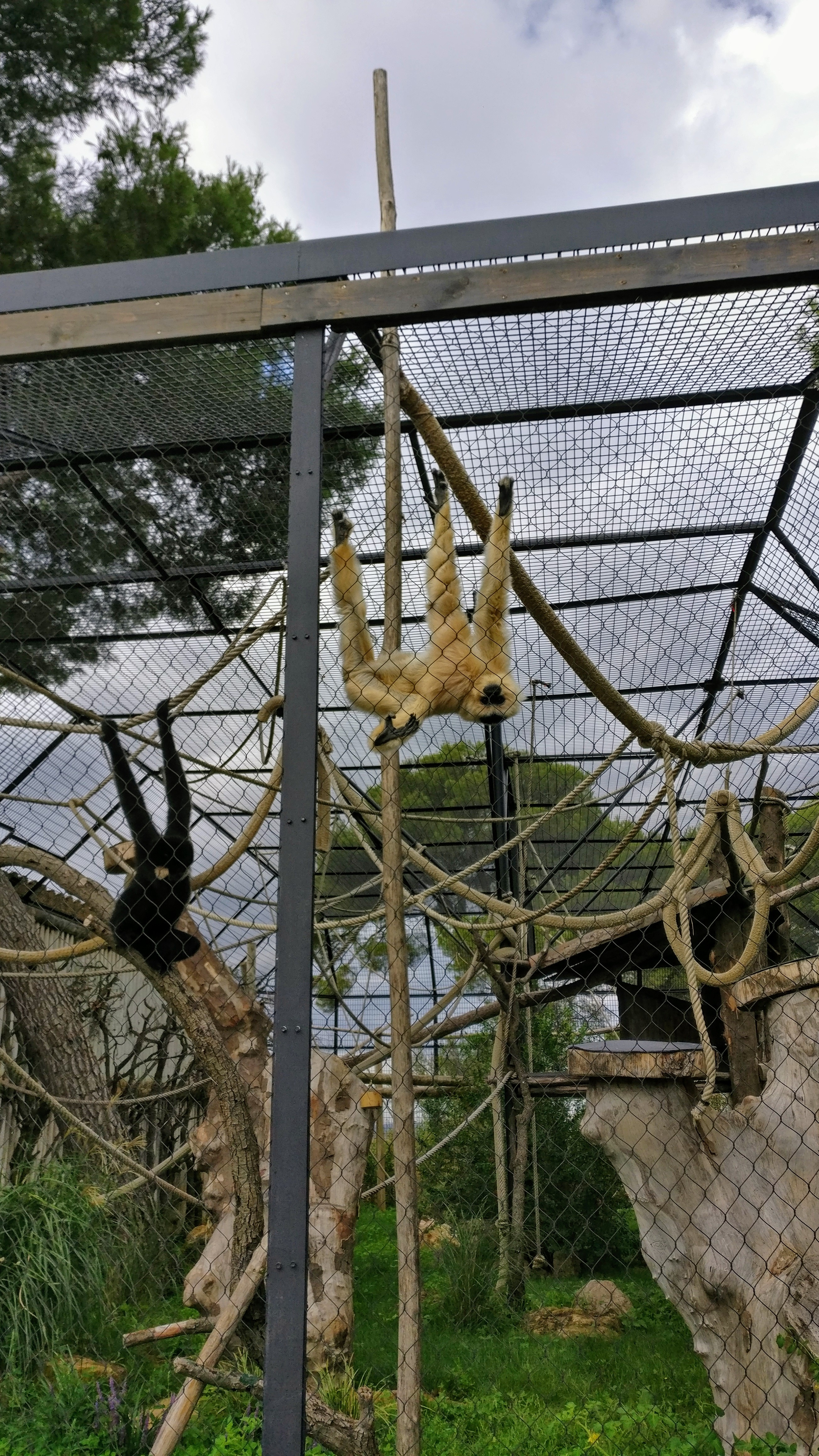 Photo n° 1 de l'avis de Florent.A fait le 18/09/2019 à 19:29