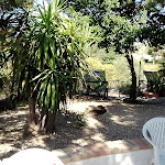 Photo n°8 de l'avis de Andrea.p fait le 30/07/2022 à 09:02 sur le  Sa Lolla Ristorante - Pizzeria à Barumini