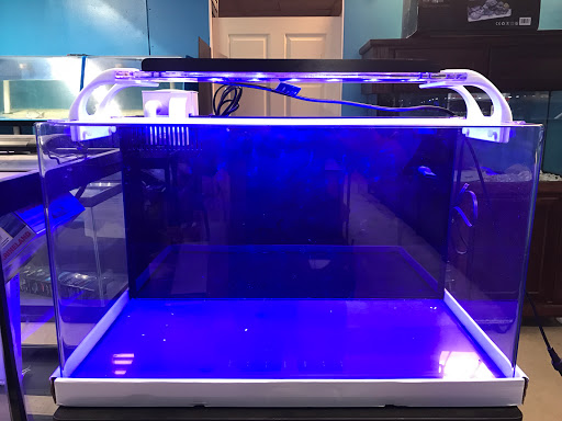 Pet Store «Acuario Piscis», reviews and photos, 3040 W Cermak Rd, Chicago, IL 60623, USA