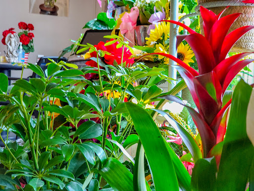 Florist «The Daisy Fair Flowers», reviews and photos, 1400 4th Ave, Conway, SC 29526, USA