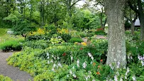 Above All Arborist Tree Service & Landscaping - Car repair in , Roanoke - Rated 0.0/5