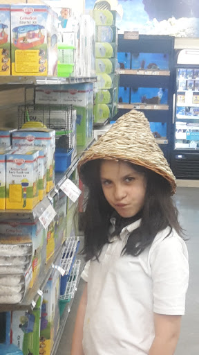 Pet Supply Store «Petco Animal Supplies», reviews and photos, 4600 Casey Blvd #100, Williamsburg, VA 23188, USA