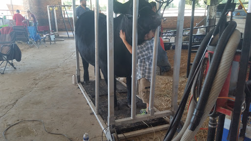 Zoo «Petting Zoo», reviews and photos, 1205 E 33rd St, Des Moines, IA 50317, USA