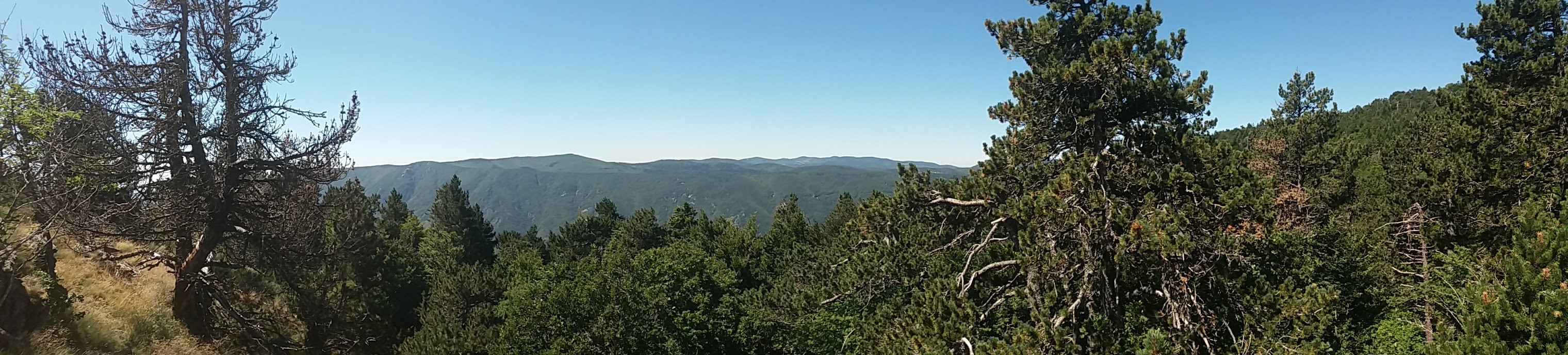 Photo n° 15 de l'avis de julle.v fait le 19/09/2018 à 10:53