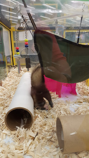 Pet Supply Store «Pet Supplies Plus», reviews and photos, 311 Sagamore Pkwy N, Lafayette, IN 47904, USA