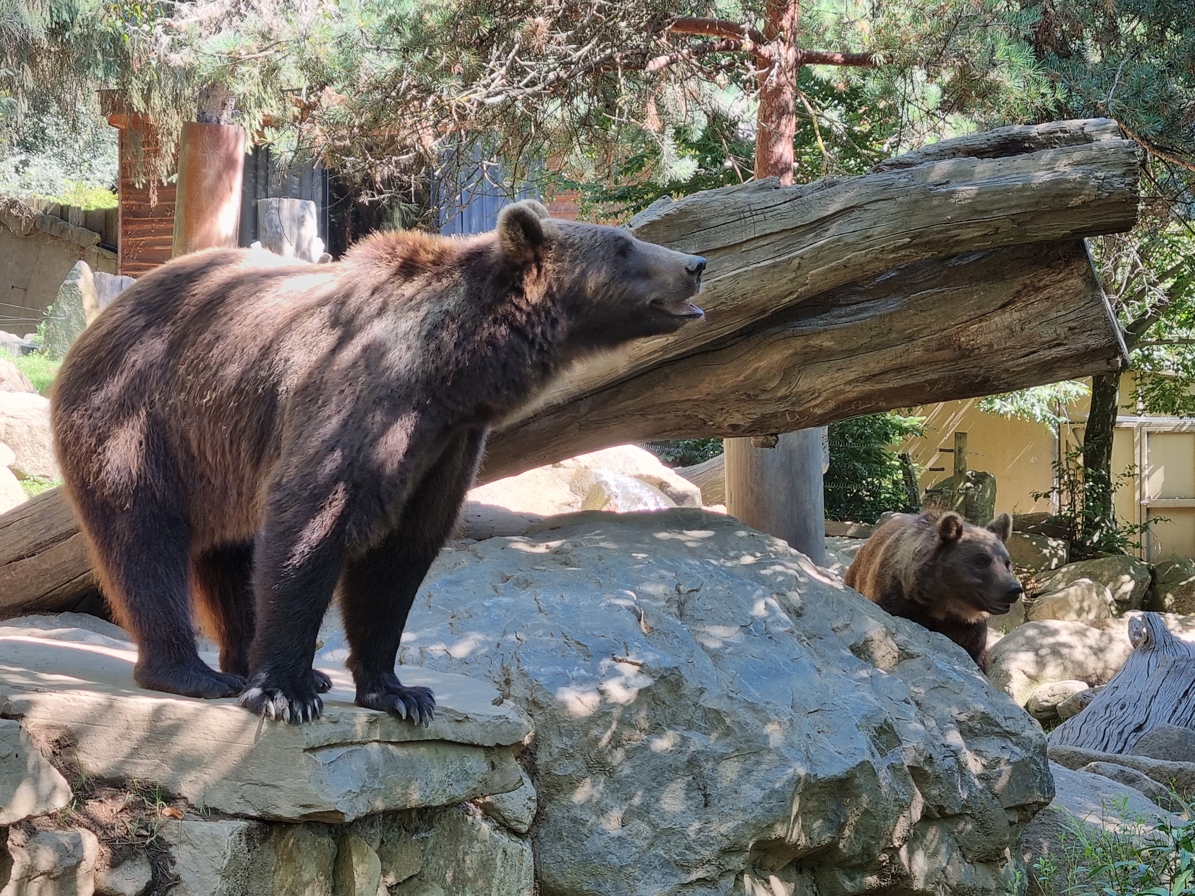 Photo n° 6 de l'avis de William.o fait le 06/08/2022 à 16:28