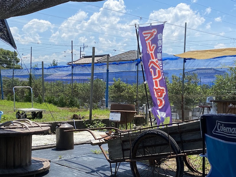 幸 Sachi Blueberry Farm 水耕栽培系 無農薬ブルーベリー狩り 山梨県南アルプス市清水 果樹園 グルコミ