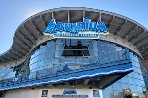 Downtown Aquarium image
