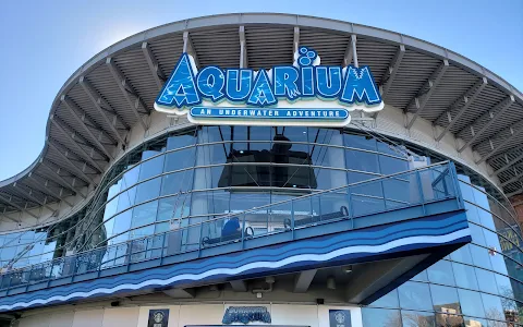 Downtown Aquarium image