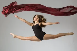 Danza Dance Academy image