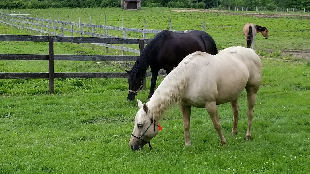 County Line Stables