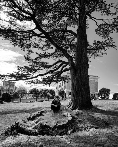 Historical Landmark «Painted Ladies», reviews and photos, Steiner St, San Francisco, CA 94117, USA