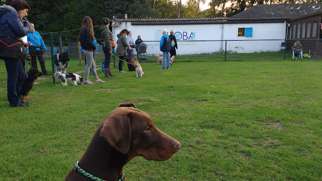 Hondenschool Hond en Baas HOBA - Hondentrainer