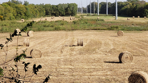 Nature Preserve «Rowlett Creek Preserve», reviews and photos, 2525 Castle Dr, Garland, TX 75040, USA