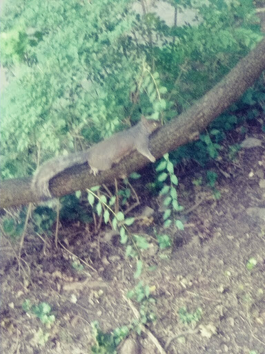 Storage Facility «Extra Space Storage», reviews and photos, 1520 Willow Rd, Menlo Park, CA 94025, USA