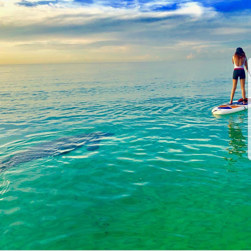 Park «Collins Park», reviews and photos, 2100 Collins Ave, Miami Beach, FL 33140, USA