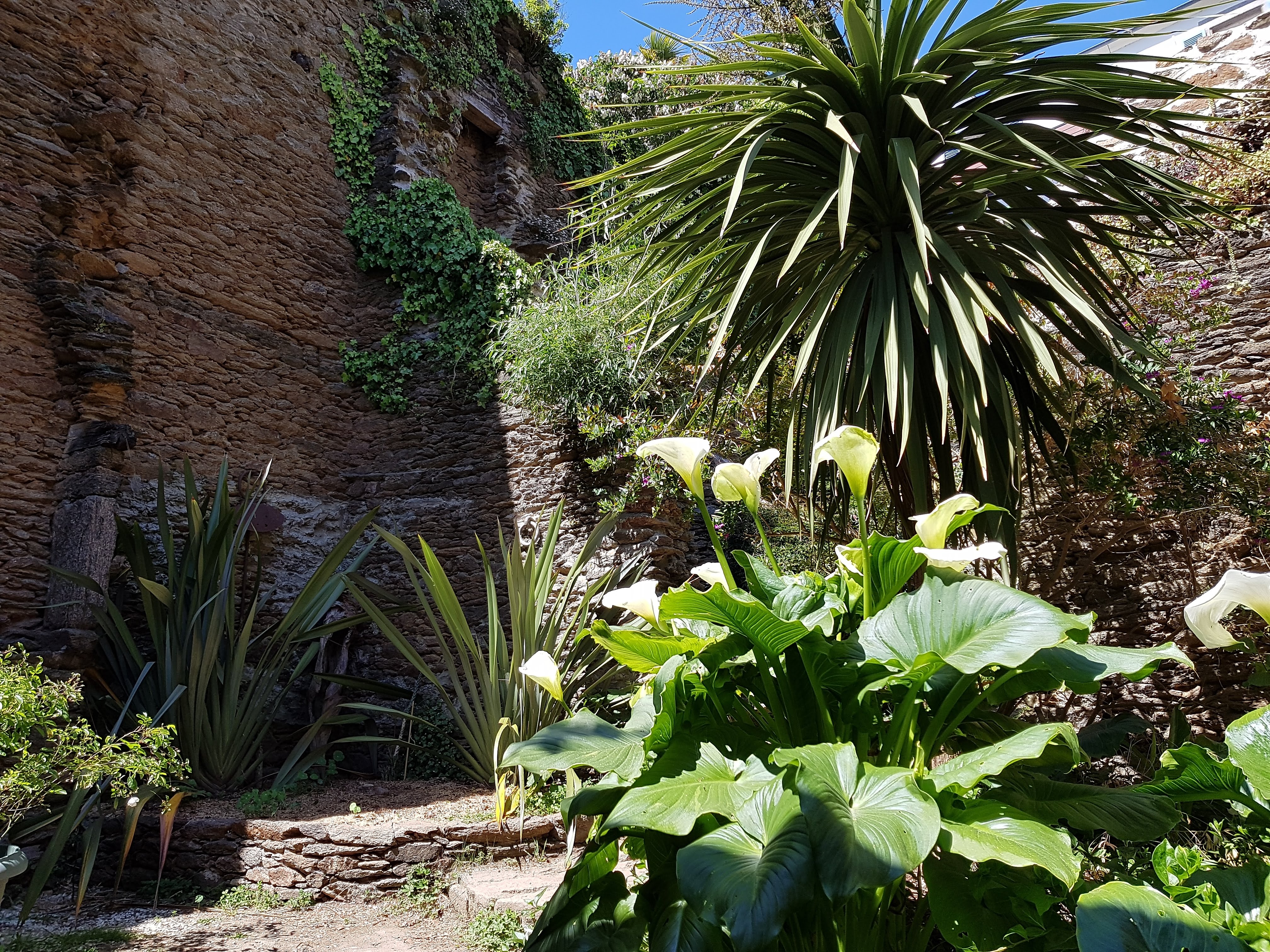 Photo n° 8 de l'avis de Antoine-Paul.E fait le 20/05/2018 à 15:37